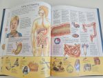 Knowledge Masters - How Your Body Works - imagine 4