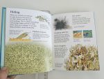 The Usborne Little Encyclopedia of Seas & Oceans - imagine 2