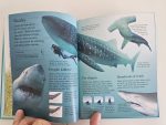 The Usborne Little Encyclopedia of Seas & Oceans - imagine 3