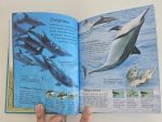 The Usborne Little Encyclopedia of Seas & Oceans - imagine 4