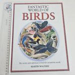 Fantastic World of Birds