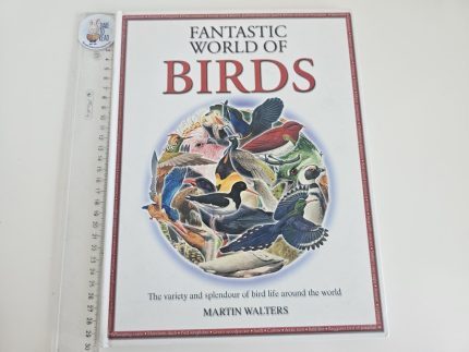 Fantastic World of Birds