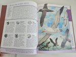 Fantastic World of Birds - imagine 2