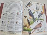 Fantastic World of Birds - imagine 3