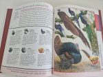 Fantastic World of Birds - imagine 4
