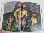 DK Rainforest - imagine 4