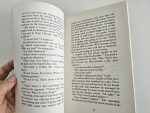The Blurred Man - Antony Horowits - imagine 3