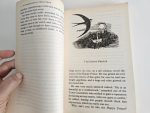 The Happy Prince - Oscar Wilde - imagine 3