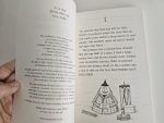 Set Sally Gardner - The Boy with... - imagine 2