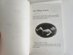 Danny the Champion of the World - Roald Dahl - imagine 3