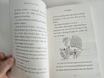 The Boy in the Dress - David Walliams - imagine 4