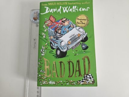David Walliams - Bad Day