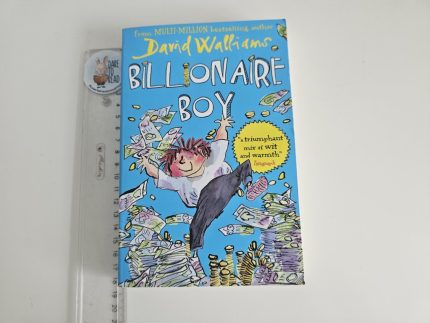 Billionaire Boy - David Walliams