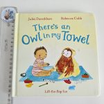 There's an Owl in My Towel - Julia Donaldson