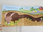 Rabbits Don't Lay Eggs! - imagine 2