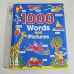 1000 Words and Pictures