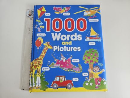 1000 Words and Pictures