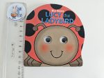 Lucy the Ladybird