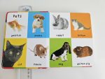 Firs 100 Animals - imagine 2