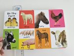 Firs 100 Animals - imagine 4