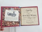 The Iceland Wyrm - imagine 2