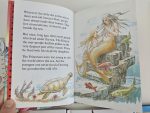 Set Ladybird - imagine 3