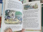 Set Ladybird - imagine 6