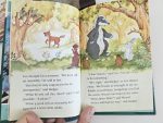 Set Ladybird - imagine 7