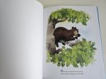 Bear's Story - imagine 2