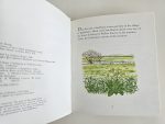 Applebury Tales - Cowslip Meadow - imagine 2