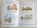 The Hedgehog's Balloon - Nick Butterworth - imagine 3