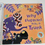 Why Elephant has a Trunk
