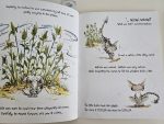 Set The Curious Adventures of Matisse the Cat - imagine 2
