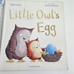 Little Owl's Egg