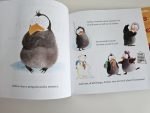 Set Ladybird Picture Books - imagine 2