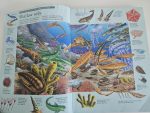 Usborne Thousand Searches - imagine 3