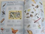 Usborne Thousand Searches - imagine 6