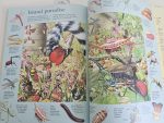 Usborne Thousand Searches - imagine 7
