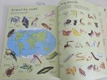 Usborne Thousand Searches - imagine 9
