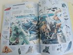 Usborne Thousand Searches - imagine 10
