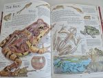 The X-Ray Amazing Animals (format mare) - imagine 4