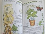 Crafty Ideas from Science - imagine 4