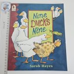 Nine Ducks Nine