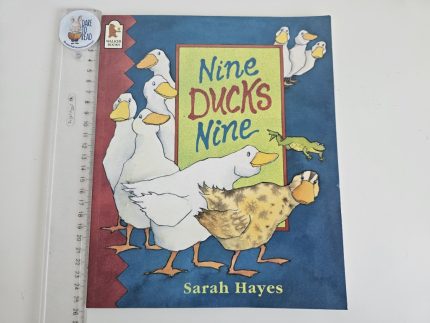 Nine Ducks Nine